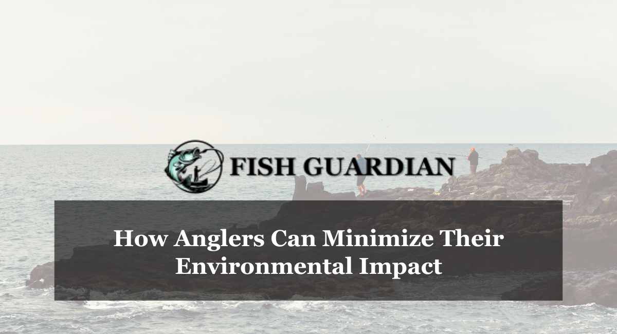 How Anglers Can Minimize Their Environmental Impact